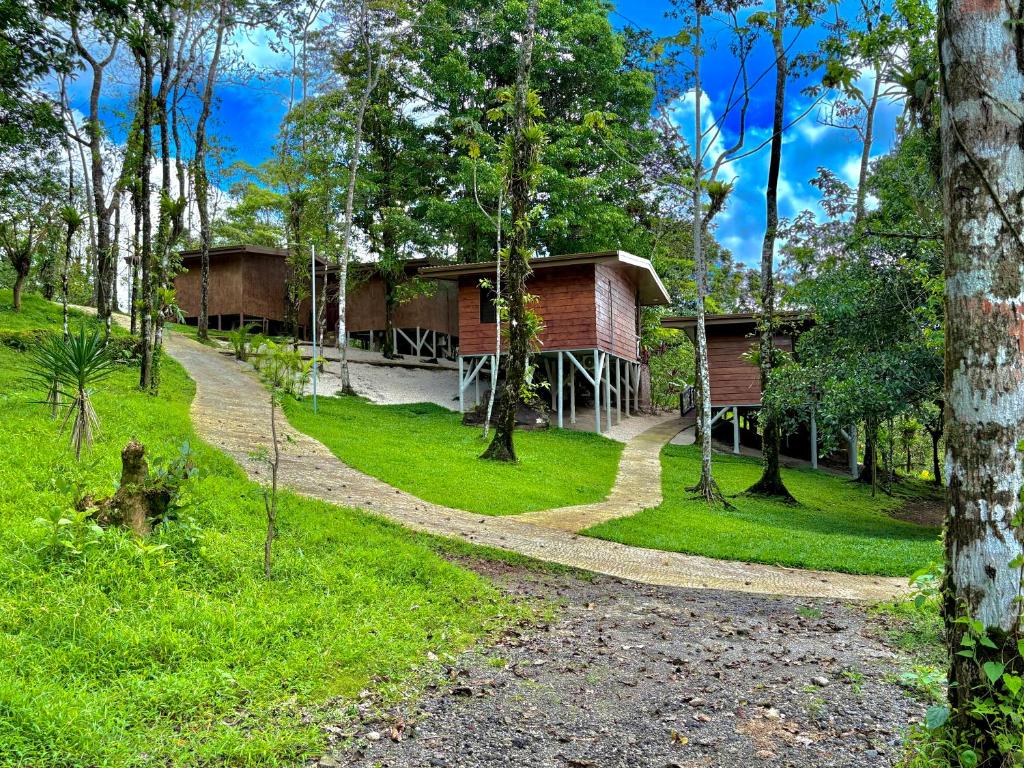 Rainforest cabin at Chato Arenal